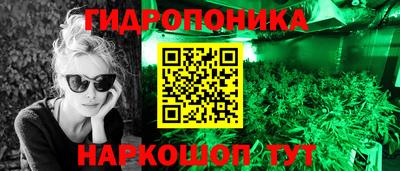ALPHA PVP Ярославль