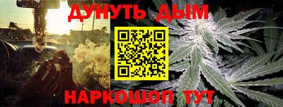 ALPHA PVP Ярославль