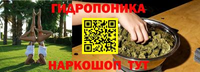 ALPHA PVP Ярославль