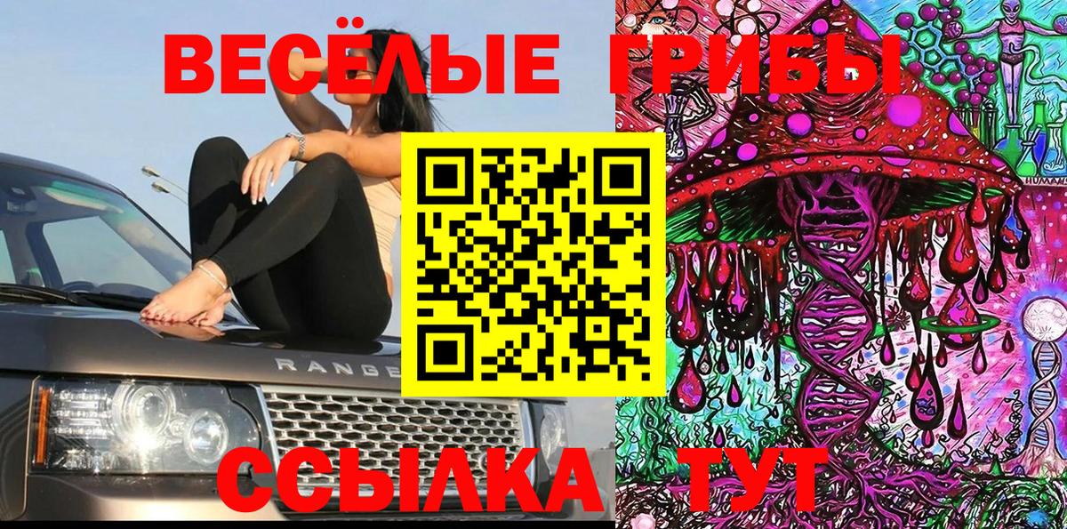 Псилоцибиновые грибы Magic Shrooms Отрадное